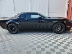 Thumbnail Photo 6 for 2023 Dodge Challenger