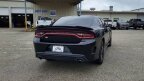 Thumbnail Photo 6 for 2023 Dodge Charger GT