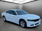 Thumbnail Photo 1 for 2023 Dodge Charger SXT