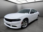 Thumbnail Photo 1 for 2023 Dodge Charger SXT
