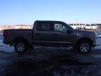 Thumbnail Photo 3 for 2023 Ford F150