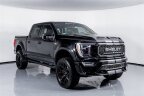 Thumbnail Photo 4 for 2023 Ford F150