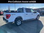 Thumbnail Photo 4 for 2023 Ford F150