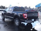 Thumbnail Photo 6 for 2023 Ford F150
