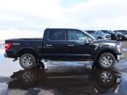 Thumbnail Photo 3 for 2023 Ford F150