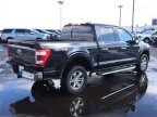 Thumbnail Photo 4 for 2023 Ford F150