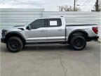 Thumbnail Photo 6 for 2023 Ford F150