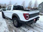 Thumbnail Photo 2 for 2023 Ford F150