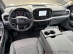 Thumbnail Photo 6 for 2023 Ford F150