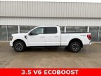 Thumbnail Photo 1 for 2023 Ford F150