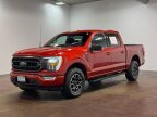 Thumbnail Photo 6 for 2023 Ford F150