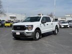 Thumbnail Photo 1 for 2023 Ford F150