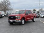 Thumbnail Photo 1 for 2023 Ford F150
