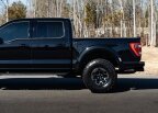 Thumbnail Photo 6 for 2023 Ford F150