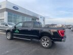 Thumbnail Photo 1 for 2023 Ford F150