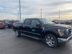 Thumbnail Photo 3 for 2023 Ford F150