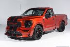 Thumbnail Photo 2 for 2023 Ford F150