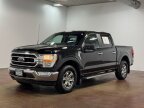 Thumbnail Photo 6 for 2023 Ford F150