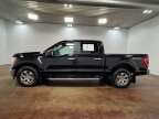Thumbnail Photo 5 for 2023 Ford F150