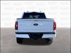 Thumbnail Photo 6 for 2023 Ford F150