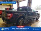 Thumbnail Photo 4 for New 2023 Ford F150