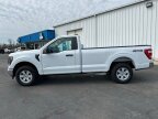 Thumbnail Photo 6 for 2023 Ford F150