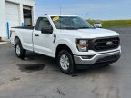Thumbnail Photo 5 for 2023 Ford F150