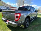 Thumbnail Photo 4 for 2023 Ford F150