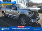 Thumbnail Photo 5 for New 2023 Ford F150