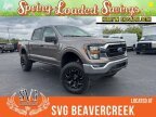 Thumbnail Photo 4 for 2023 Ford F150