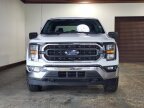 Thumbnail Photo 1 for 2023 Ford F150