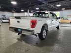 Thumbnail Photo 3 for 2023 Ford F150