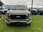 Thumbnail Photo 2 for 2023 Ford F150