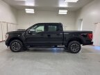 Thumbnail Photo 4 for 2023 Ford F150