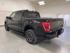 Thumbnail Photo 5 for 2023 Ford F150