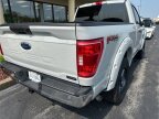 Thumbnail Photo 6 for 2023 Ford F150