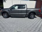 Thumbnail Photo 3 for 2023 Ford F150