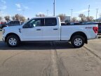 Thumbnail Photo 5 for 2023 Ford F150