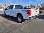 Thumbnail Photo 4 for 2023 Ford F150