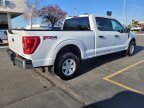 Thumbnail Photo 2 for 2023 Ford F150