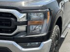 Thumbnail Photo 5 for 2023 Ford F150