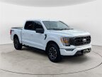 Thumbnail Photo 6 for 2023 Ford F150