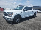 2023 Ford F150