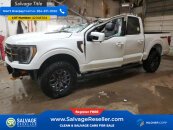 2023 Ford F150