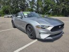 Thumbnail Photo 2 for 2023 Ford Mustang