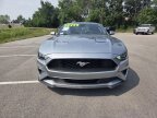 Thumbnail Photo 1 for 2023 Ford Mustang