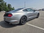 Thumbnail Photo 3 for 2023 Ford Mustang