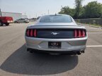 Thumbnail Photo 4 for 2023 Ford Mustang