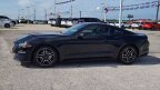Thumbnail Photo 3 for 2023 Ford Mustang