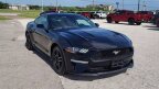 Thumbnail Photo 1 for 2023 Ford Mustang